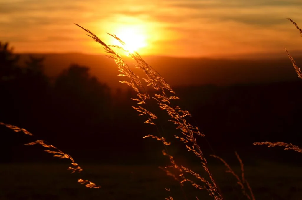 la nature au crépuscule